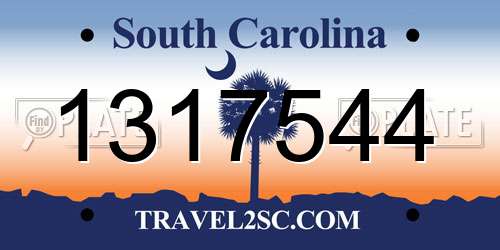 1317544 South Carolina License Plate
