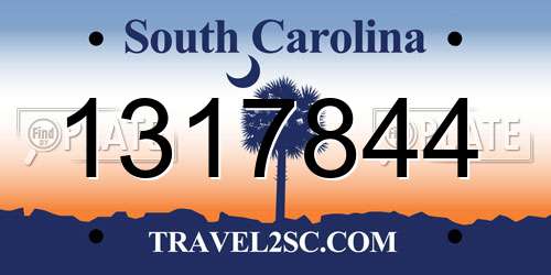1317844 South Carolina License Plate