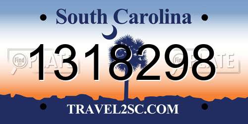 1318298 South Carolina License Plate