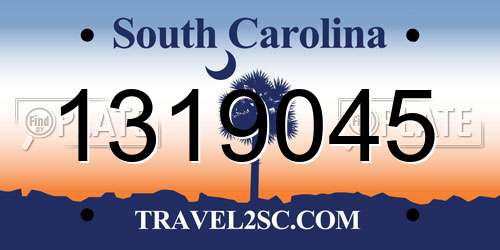 1319045 South Carolina License Plate