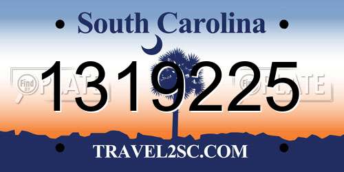 1319225 South Carolina License Plate