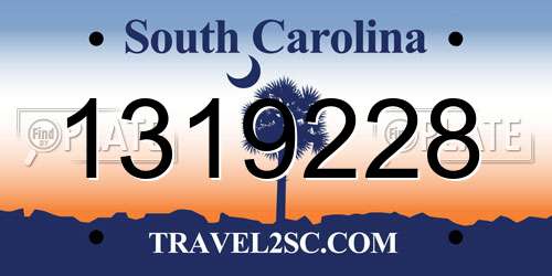 1319228 South Carolina License Plate