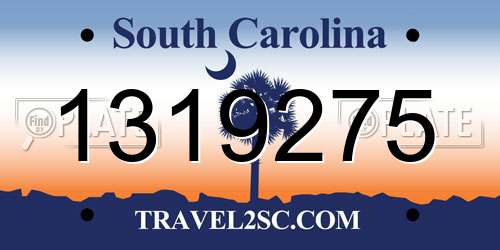 1319275 South Carolina License Plate