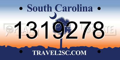 1319278 South Carolina License Plate