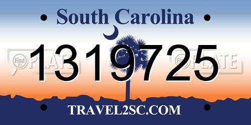 1319725 South Carolina License Plate