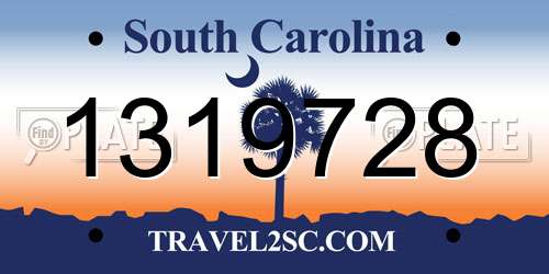 1319728 South Carolina License Plate