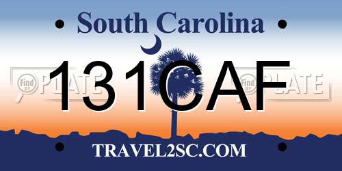 131CAF South Carolina License Plate