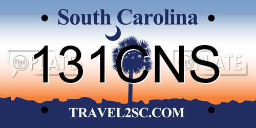 131CNS South Carolina License Plate