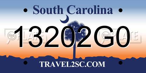13202G0 South Carolina License Plate