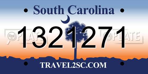 1321271 South Carolina License Plate