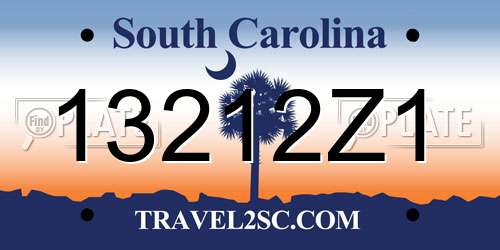 13212Z1 South Carolina License Plate