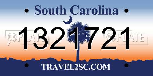 1321721 South Carolina License Plate