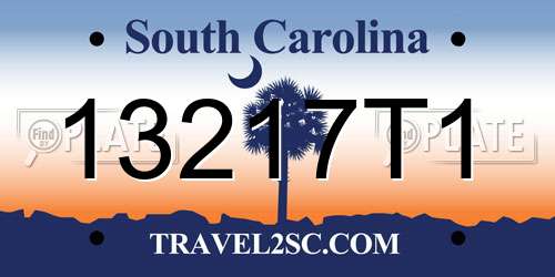 13217T1 South Carolina License Plate