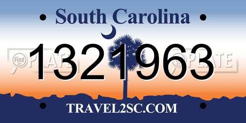 1321963 South Carolina License Plate