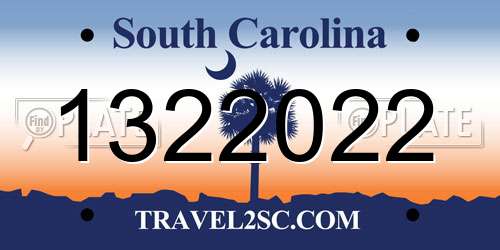 1322022 South Carolina License Plate