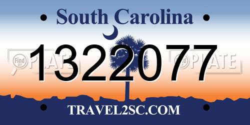 1322077 South Carolina License Plate