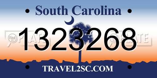 1323268 South Carolina License Plate
