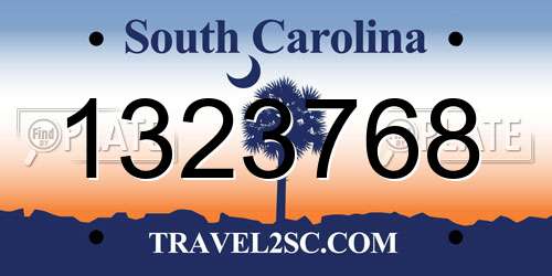 1323768 South Carolina License Plate