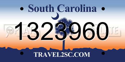 1323960 South Carolina License Plate