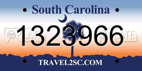 1323966 South Carolina License Plate