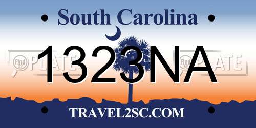 1323NA South Carolina License Plate