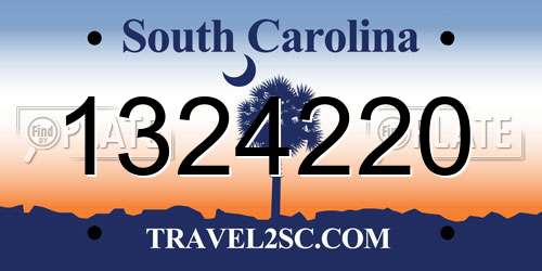 1324220 South Carolina License Plate