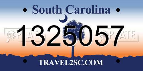 1325057 South Carolina License Plate