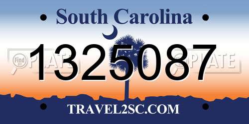 1325087 South Carolina License Plate