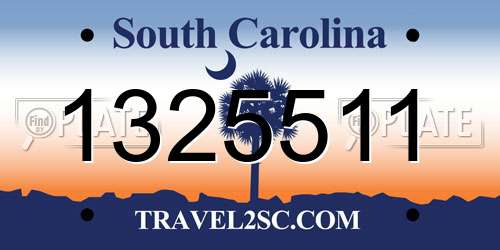 1325511 South Carolina License Plate