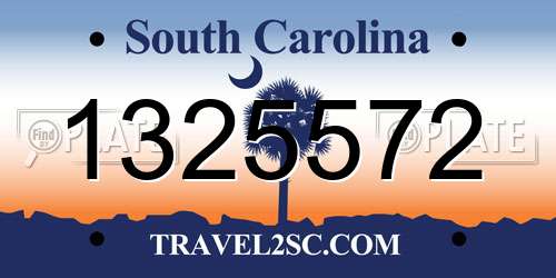 1325572 South Carolina License Plate