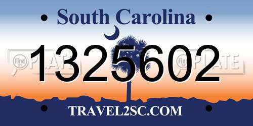 1325602 South Carolina License Plate