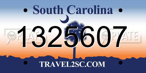 1325607 South Carolina License Plate