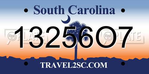 13256O7 South Carolina License Plate