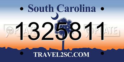1325811 South Carolina License Plate