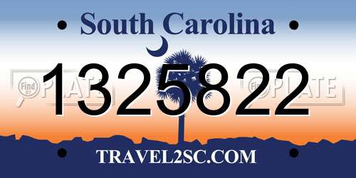 1325822 South Carolina License Plate