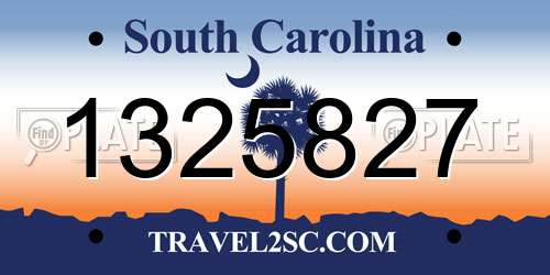1325827 South Carolina License Plate