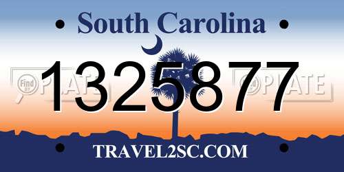 1325877 South Carolina License Plate