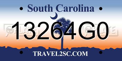 13264G0 South Carolina License Plate