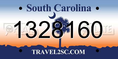 1328160 South Carolina License Plate