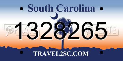1328265 South Carolina License Plate