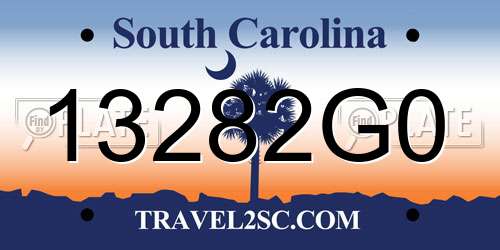 13282G0 South Carolina License Plate