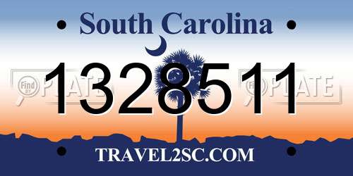 1328511 South Carolina License Plate