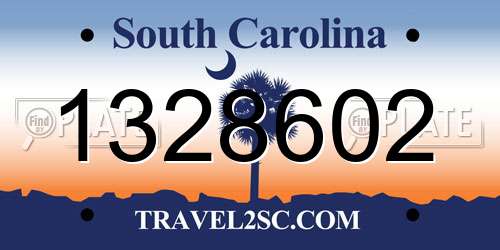 1328602 South Carolina License Plate