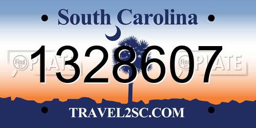 1328607 South Carolina License Plate