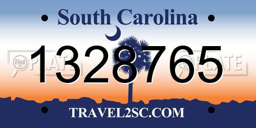 1328765 South Carolina License Plate