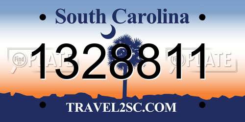 1328811 South Carolina License Plate