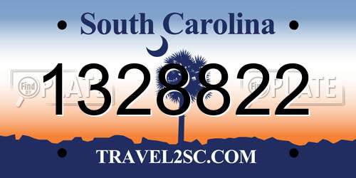 1328822 South Carolina License Plate