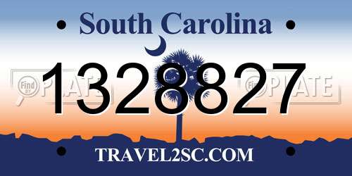 1328827 South Carolina License Plate