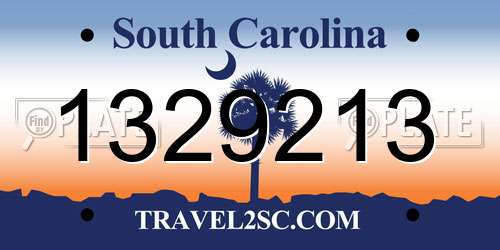 1329213 South Carolina License Plate