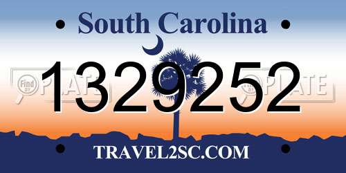 1329252 South Carolina License Plate
